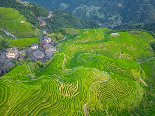 Foto auf Acrylglas Reisfelder Top view or aerial shot of fresh green and yellow rice fields. Longji Rice Terrace in China  © Tatiana Kashko