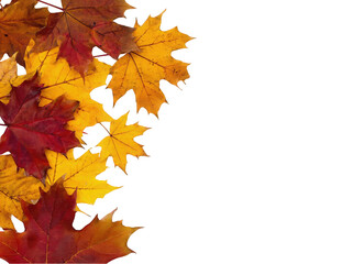 A vibrant arrangement of colorful autumn leaves in shades of red, orange, and yellow against a clean white background, evoking a seasonal atmosphere.
