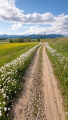 Obraz premium Scenic Dirt Road Adventure Witness Natural Beauty Of Green Fields, Yellow Blooms, White Wildflowers Under Blue Sky With Clouds Gravel Road Journey To Mountain Views