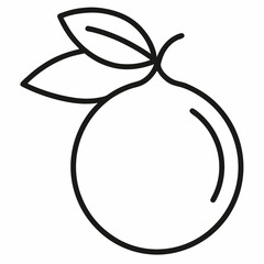 orange fruit outline icon on white background 
