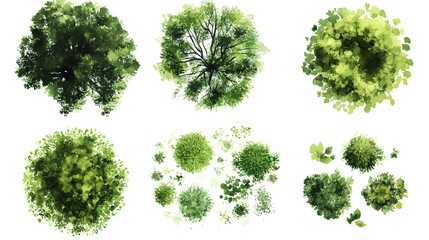 green grass isolated on white background, Set of watercolor tree top view for landscape plan and architecture layout  