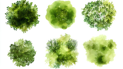 green grass isolated on white background, Set of watercolor tree top view for landscape plan and architecture layout  