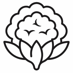 Cauliflower outline icon on white background 
