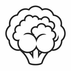 Cauliflower outline icon on white background 
