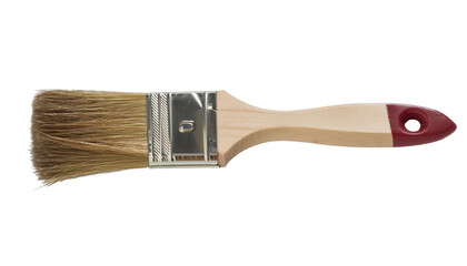 Paintbrush with natural bristles