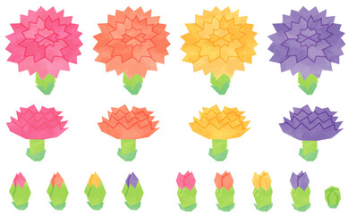 カーネーションのセット2