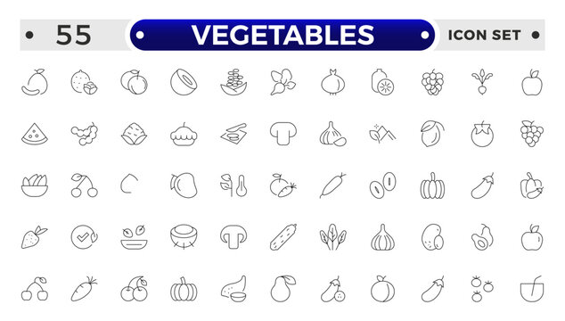 Vegetarian, vegetable, veggies outline icon set. Included the simple vector icons as tomato, cucumber, kohlrabi, cauliflower, pattypan squash, fiddleheads, daikon.