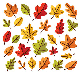 Set of autumn leaves from different trees. Flat vector illustration on white background