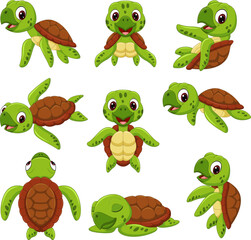 Cartoon sea turtle collection set