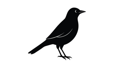 Bird Silhouette Standing Profile Graphic