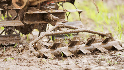Close-up of harrow tool in use behind hand tractor on a rice field, agricultural equipment in...