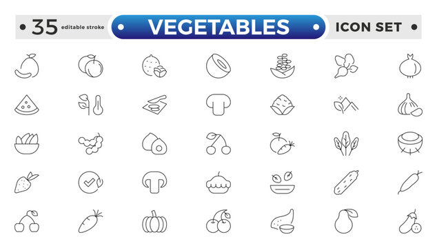 Vegetarian, vegetable, veggies outline icon set. Included the simple vector icons as tomato, cucumber, kohlrabi, cauliflower, pattypan squash, fiddleheads, daikon. Editable stroke outline icon. 
