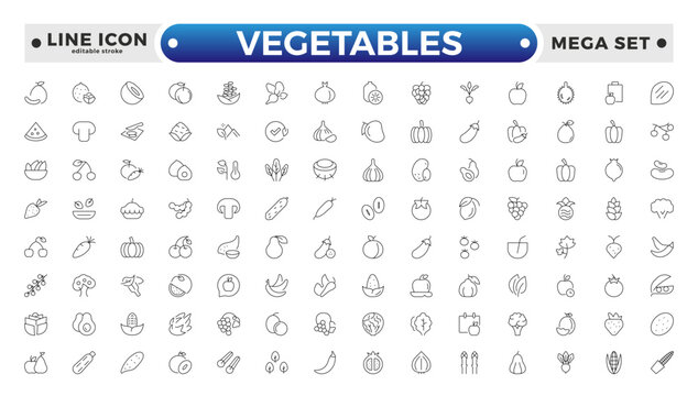 Vegetarian, vegetable, veggies outline icon set. Included the simple vector icons as tomato, cucumber, kohlrabi, cauliflower, pattypan squash, fiddleheads, daikon. Editable stroke outline icon. 
