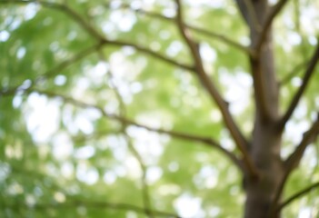 Obraz premium Generative AI Whispers of wind through green leaves with bokeh effects