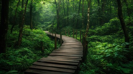 Fototapeta premium Serene Woodland Path: A Journey Through Lush Greenery