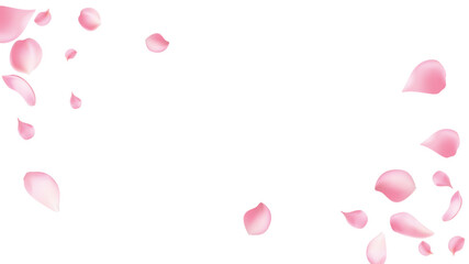 pring blossom isolated petals flying on transparent background. Wedding celebration eps. Pastel pink blossom petals © Sompong