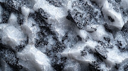 Obraz premium Mineral close-up White crystalline structure with black inclusions, textured surface