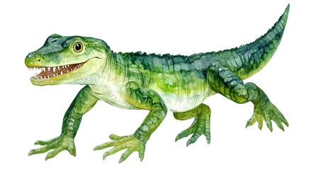 Obraz premium Cute Cartoon Crocodile Watercolor Illustration