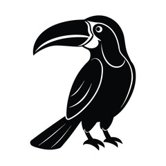 toucan bird vector illustration
