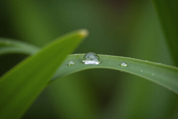 close up of water droplets on a blade of grass