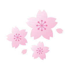 桜と花びらのイラスト