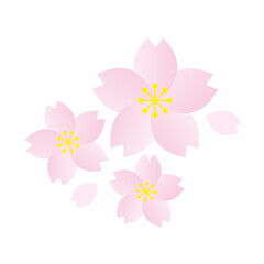桜と花びらのイラスト