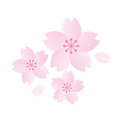 桜と花びらのイラスト