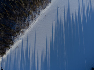 Long Tree Shadows, Saariselka Finland