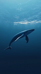 Naklejka premium A majestic whale glides gracefully through the deep blue ocean. Sunlight filters from above, illuminating the whale's sleek form.