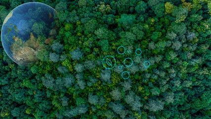 Aerial view of nature green forest and tree. Forest ecosystem and health concept and background, texture of green forest from above.Nature conservation concept.Natural scenery tropical green forest.