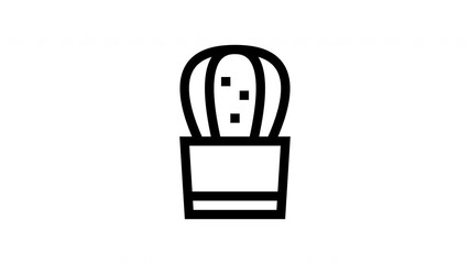 cactus animated icon