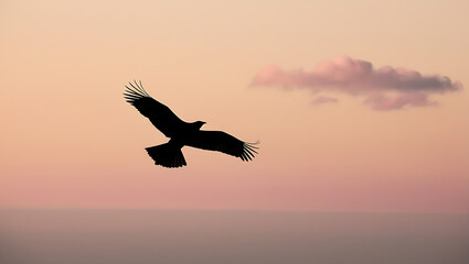 Majestic Bird Silhouette Against a Serene Sunset