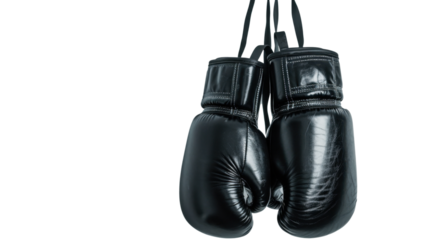 Pair of black leather boxing gloves hanging on transparent background