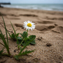A daisy isn’t just one flower—it’s a cluster of tiny flowers! Each “petal” is its own bloom, making it a mini floral galaxy! 🌟 