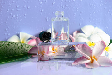 Clear serum drops rest on a glistening surface surrounded by vibrant plumeria flowers and foliage.