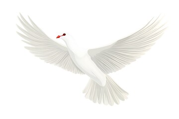 Fototapeta premium White dove in flight, symbol of peace, against white background, for religious/spiritual imagery