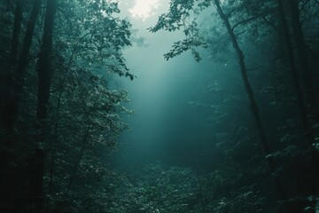 Fototapeta premium Ethereal mist envelops a tranquil forest path at dawn, inviting exploration and reflection