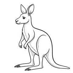 Fototapeta premium kangaroo with baby