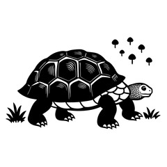 turtle vector illustration