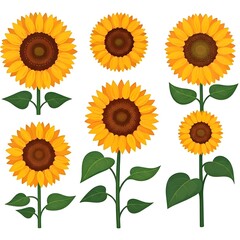 A set of playful vector sunflowers in bold yellow and orange hues, isolated on white