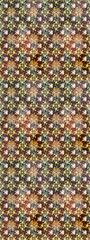 Fototapeta premium interesting super nice abstract and cute picture