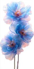 Delicate Blue Flowers with Soft Pastel Accents against a Light Background for Nature and Floral Themes