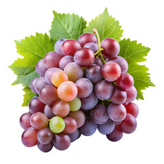 bunch of grapes isolated on white