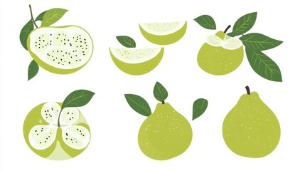 Colorful Collection of Fresh Green Fruits with Leaves