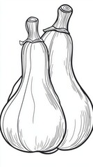 Two Gourds in Elegant Line Art Style