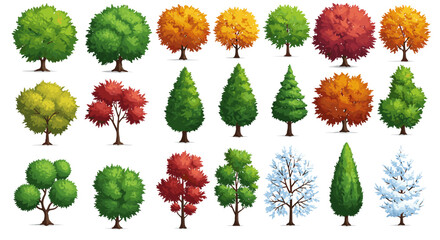 Fototapeta premium Seasonal Deciduous and Evergreen Trees Collection