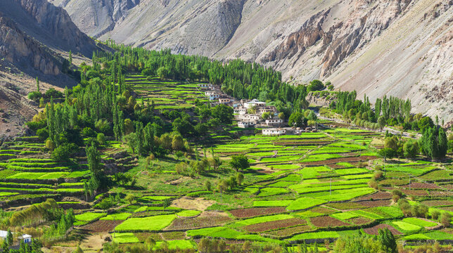 Sad para village.
Sad or Sat para village on the roadside towards Deosai National Park, Skurdu, Pakistan