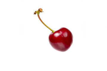 A red cherry isolated on white background
