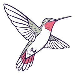 Obraz premium Hummingbird illustration, vector clipart for nature blogs, greeting cards, eco-friendly designs