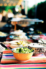 Colorful Mexican buffet at a summer wedding on film.